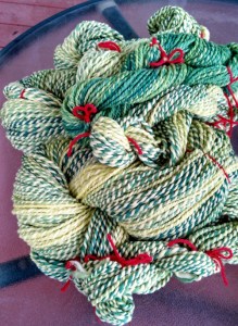 for blogging 101 029