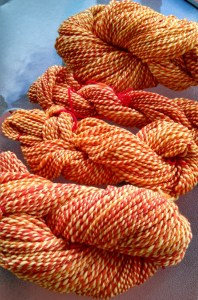 for blogging 101 030