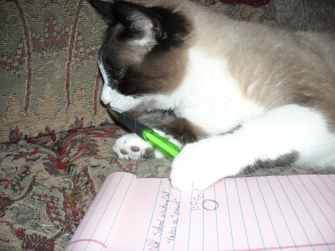 for blogging 101 051