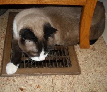 favorite cool weather spot