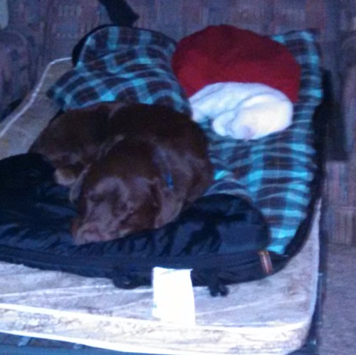 IMG_20151205_223709_119