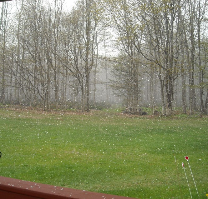 snow in May